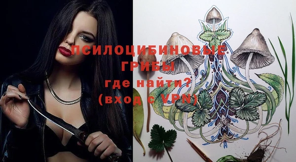 стафф Бородино